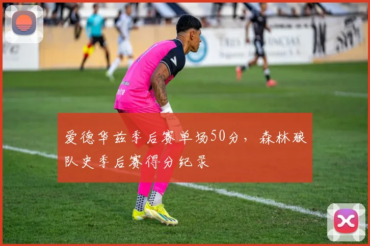 爱德华兹季后赛单场50分，森林狼队史季后赛得分纪录
