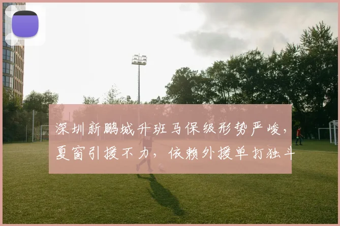深圳新鹏城升班马保级形势严峻，夏窗引援不力，依赖外援单打独斗？